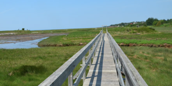 Plage du Green